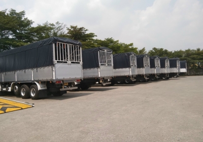 Vận chuyển máy công trình – xe cơ giới