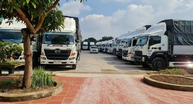 Hoạt động nổi bật 5